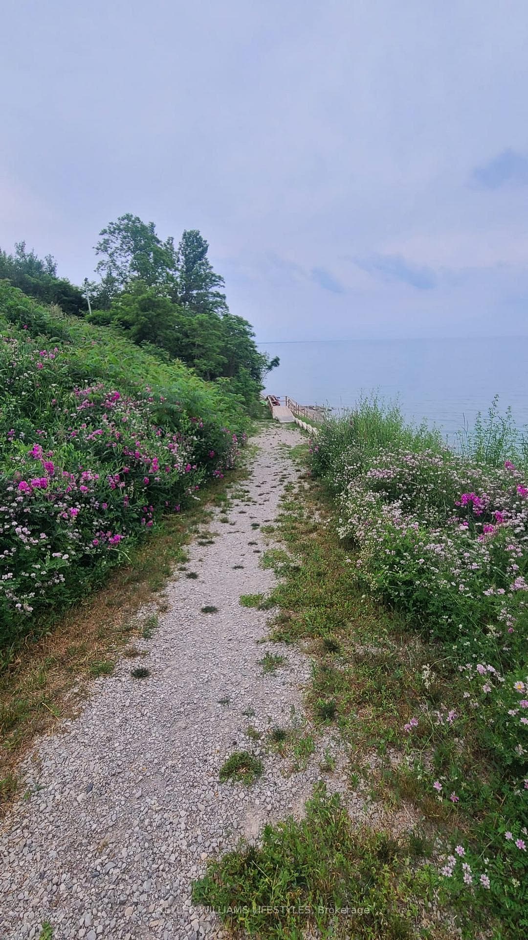 Path down to beach