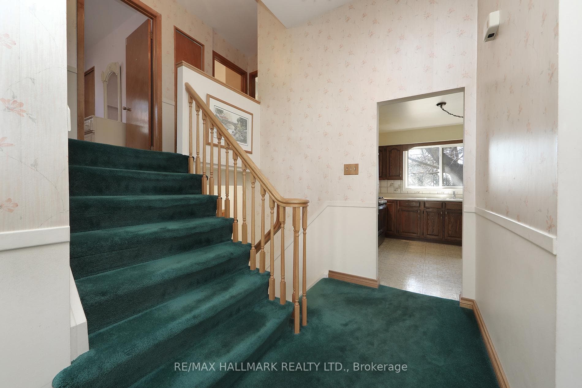 31 Tilley Drive photo 7