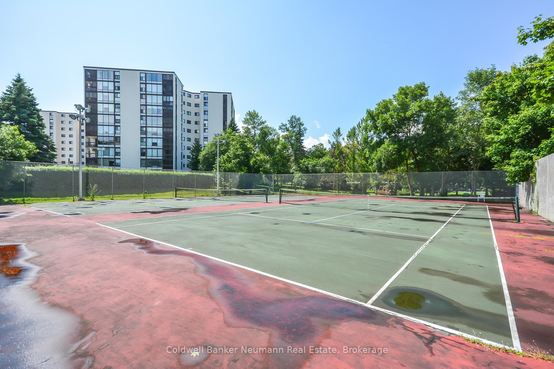 23 Woodlawn Road Unit 305 photo 46