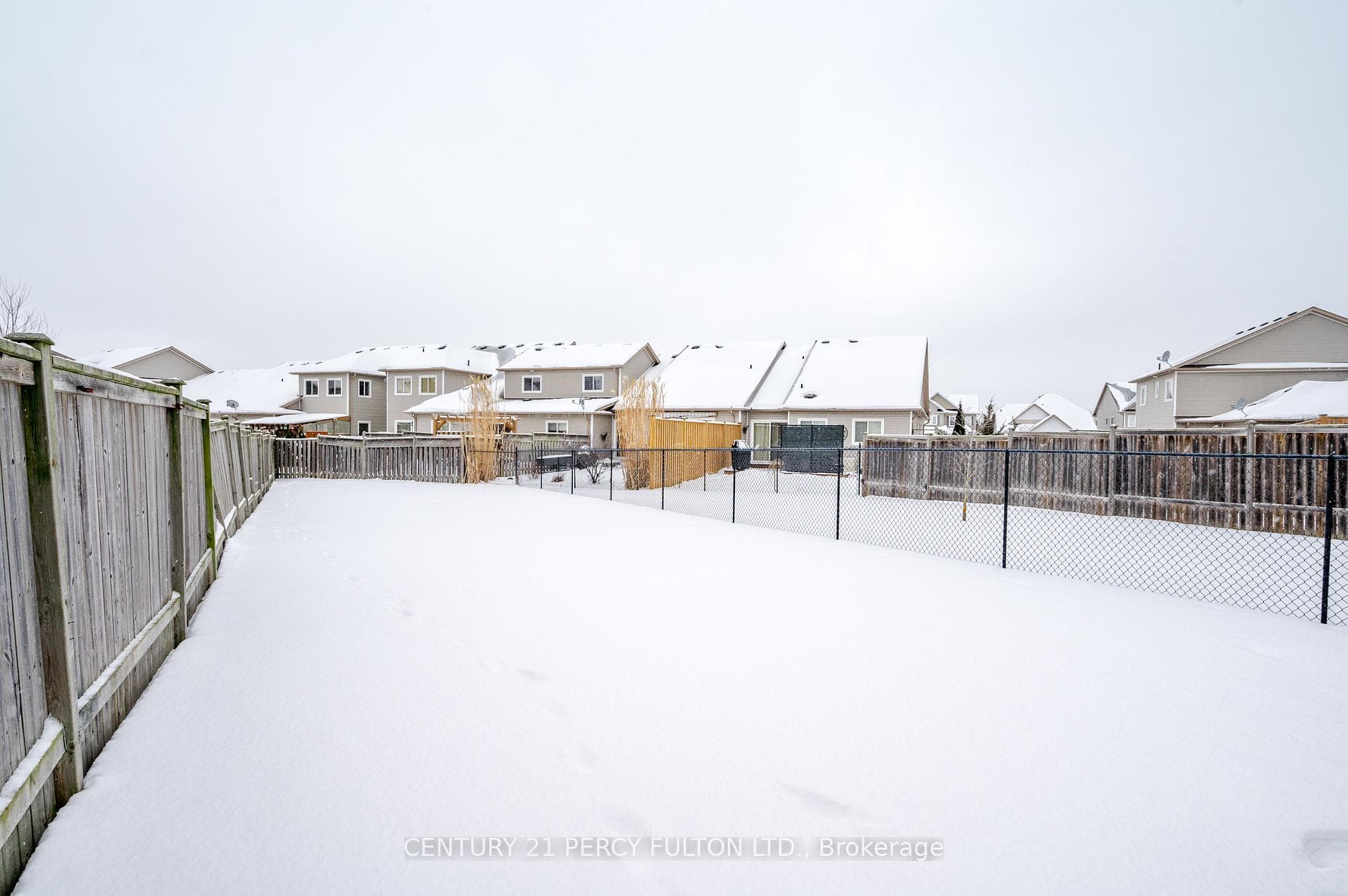 223 Cowling Heights photo 39