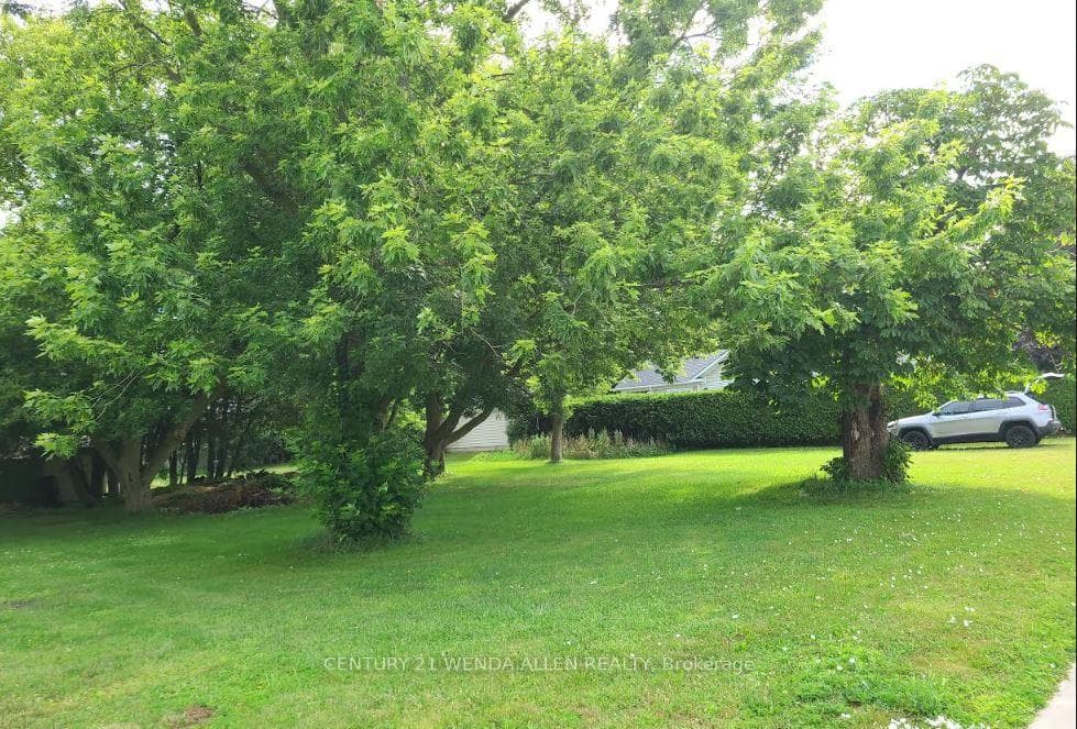 323 St. Albert Street photo 1