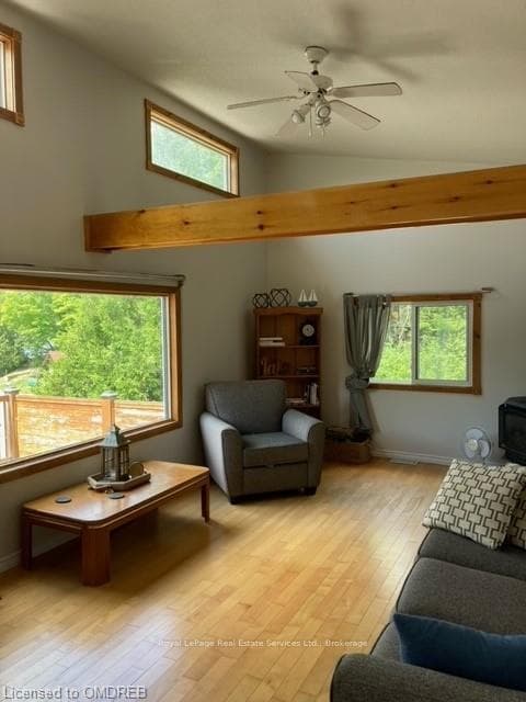 Living room featuring light hardwood / wood-style