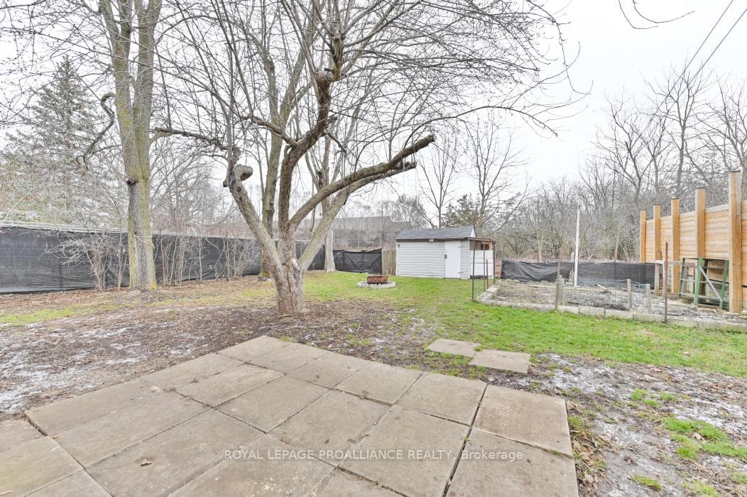 79 FRANK Street photo 26