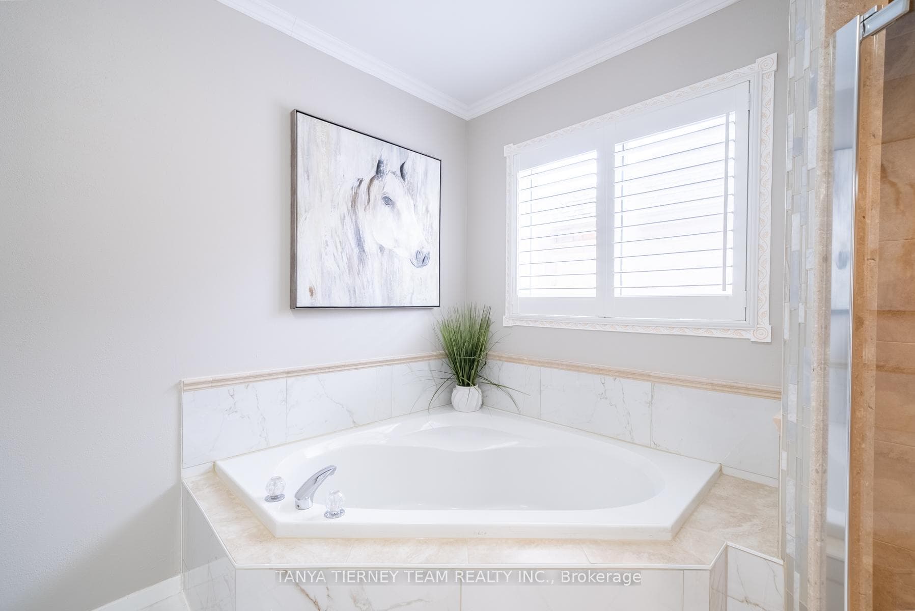 142 Tremount Street photo 19