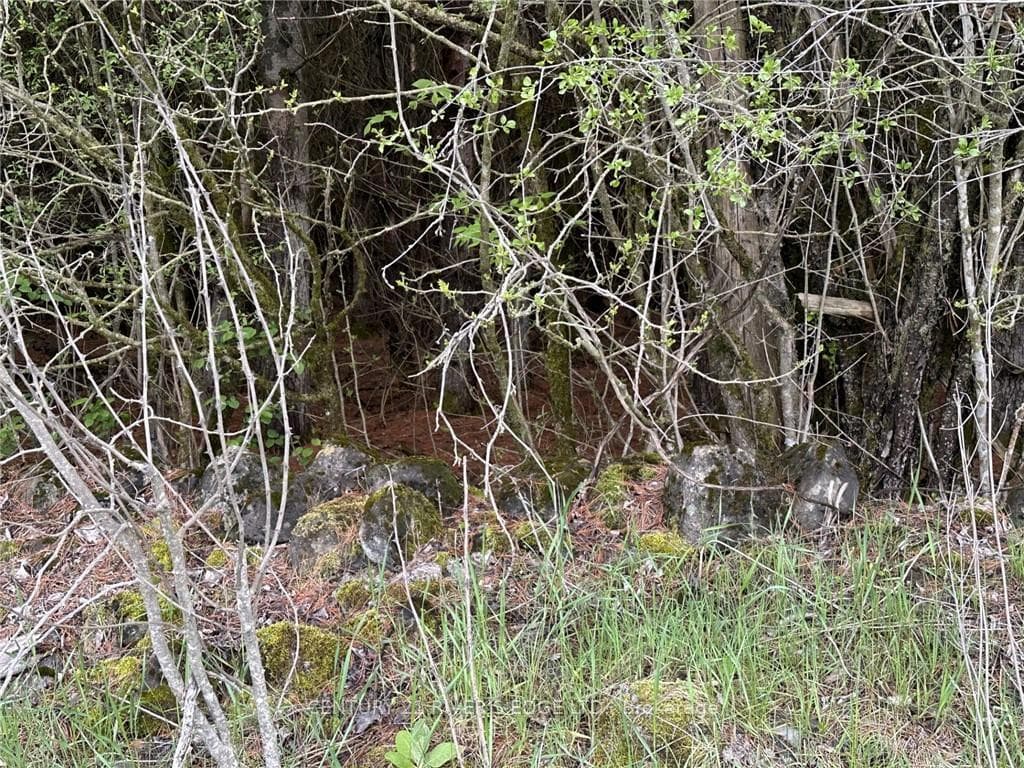 12082 LAND O'NOD Road photo 12