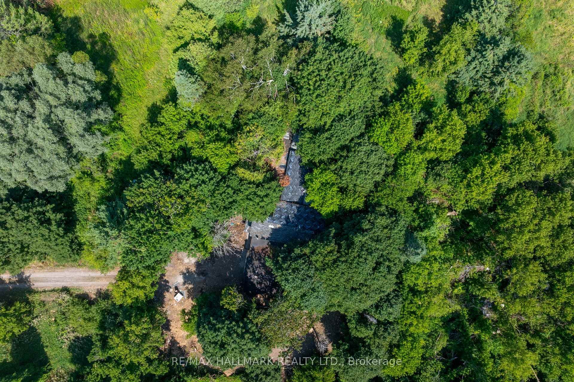 23895 Mccowan Road photo 6