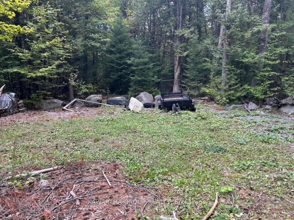 176 Base Line Road photo 2
