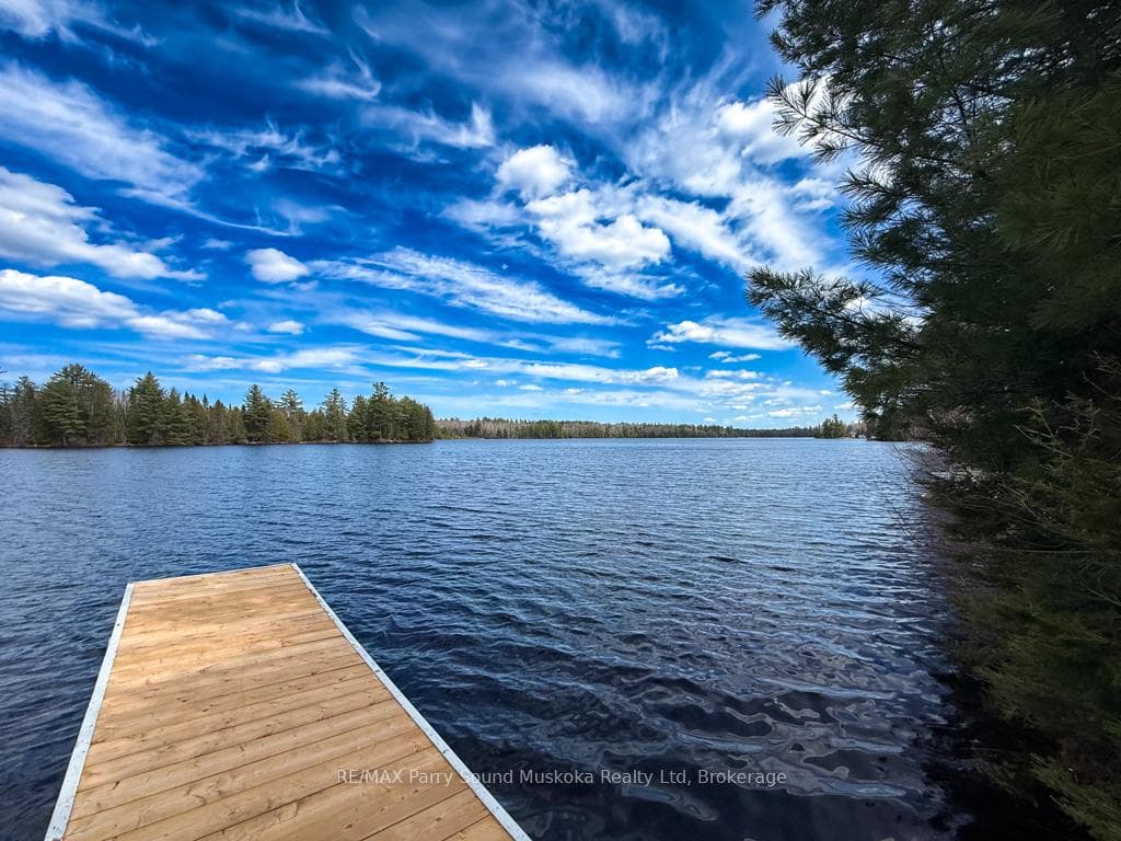 93 White Pine Road photo 9