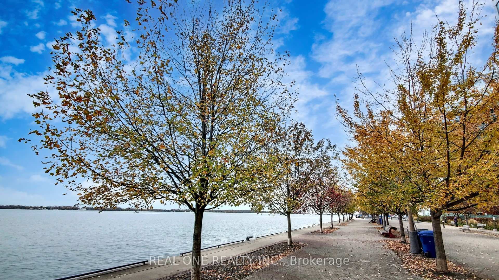 15 Queens Quay Unit 1114 photo 31