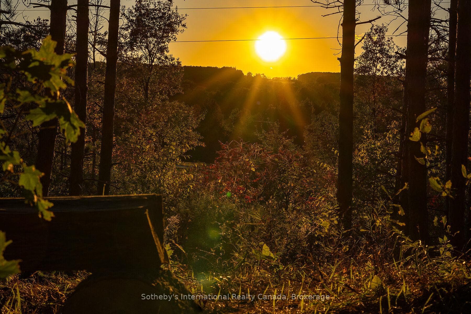 587318 10 Sideroad N/A photo 49