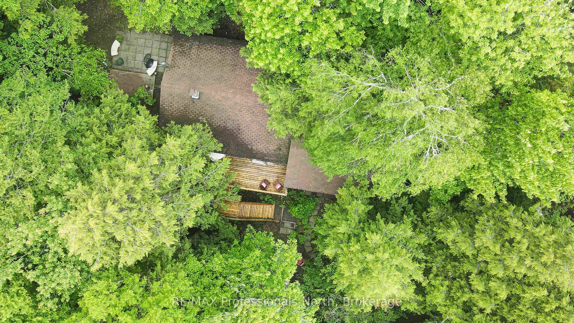 1010 Tanager Lane photo 35