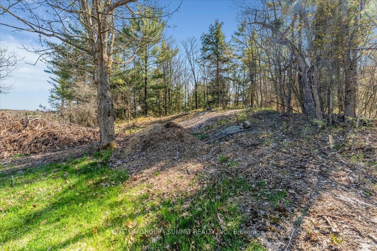 49 PINERIDGE Drive photo 14