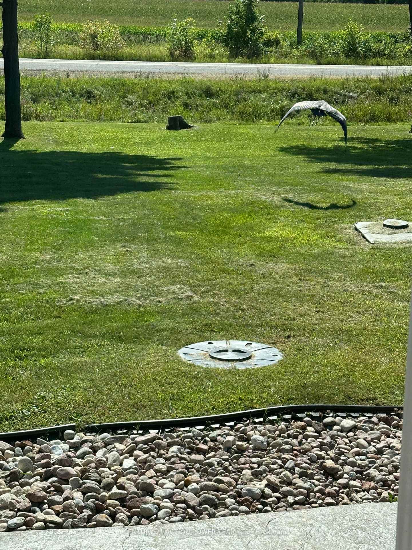 450 Big Horn Way photo 34