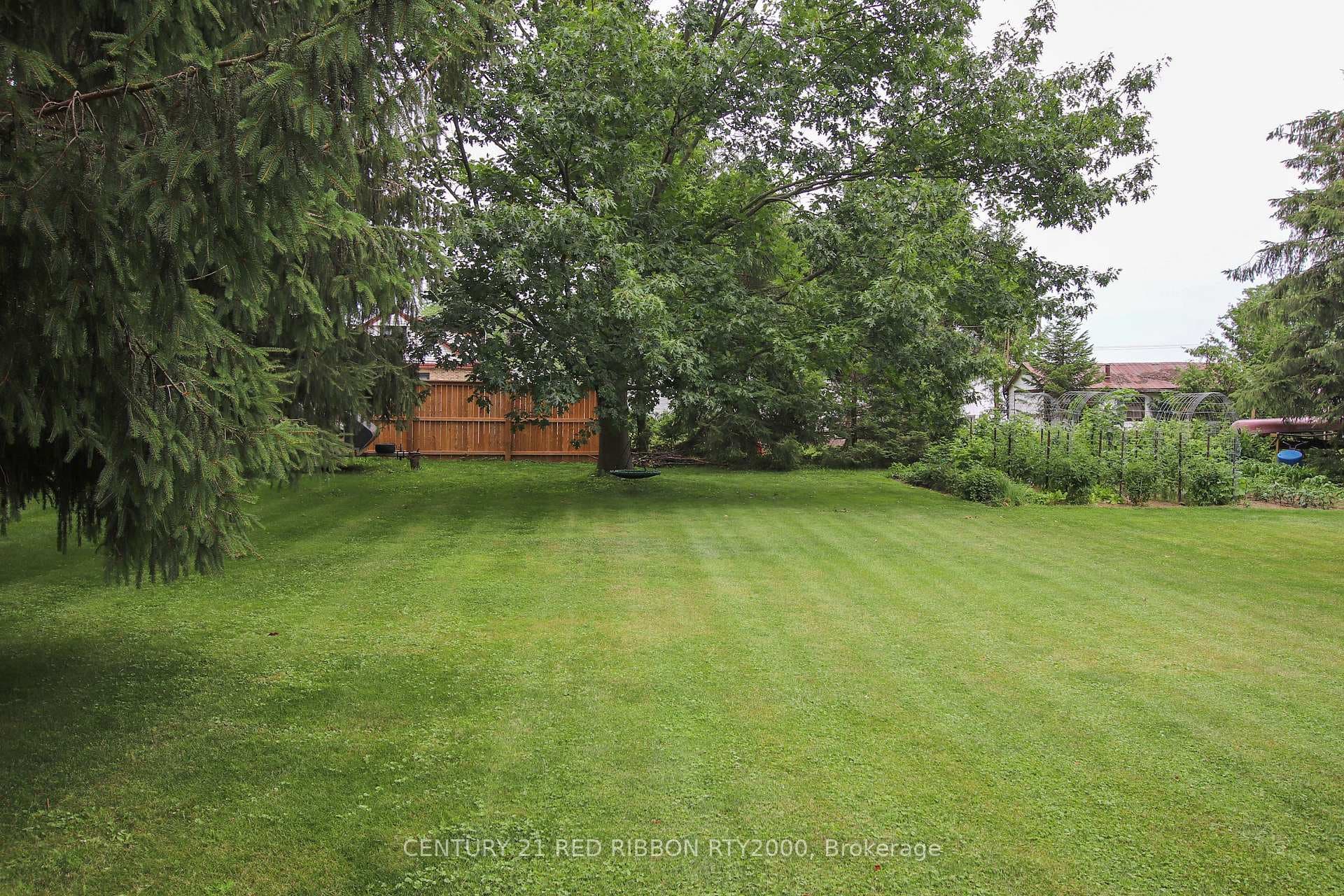 24642 Dodge Drive photo 5