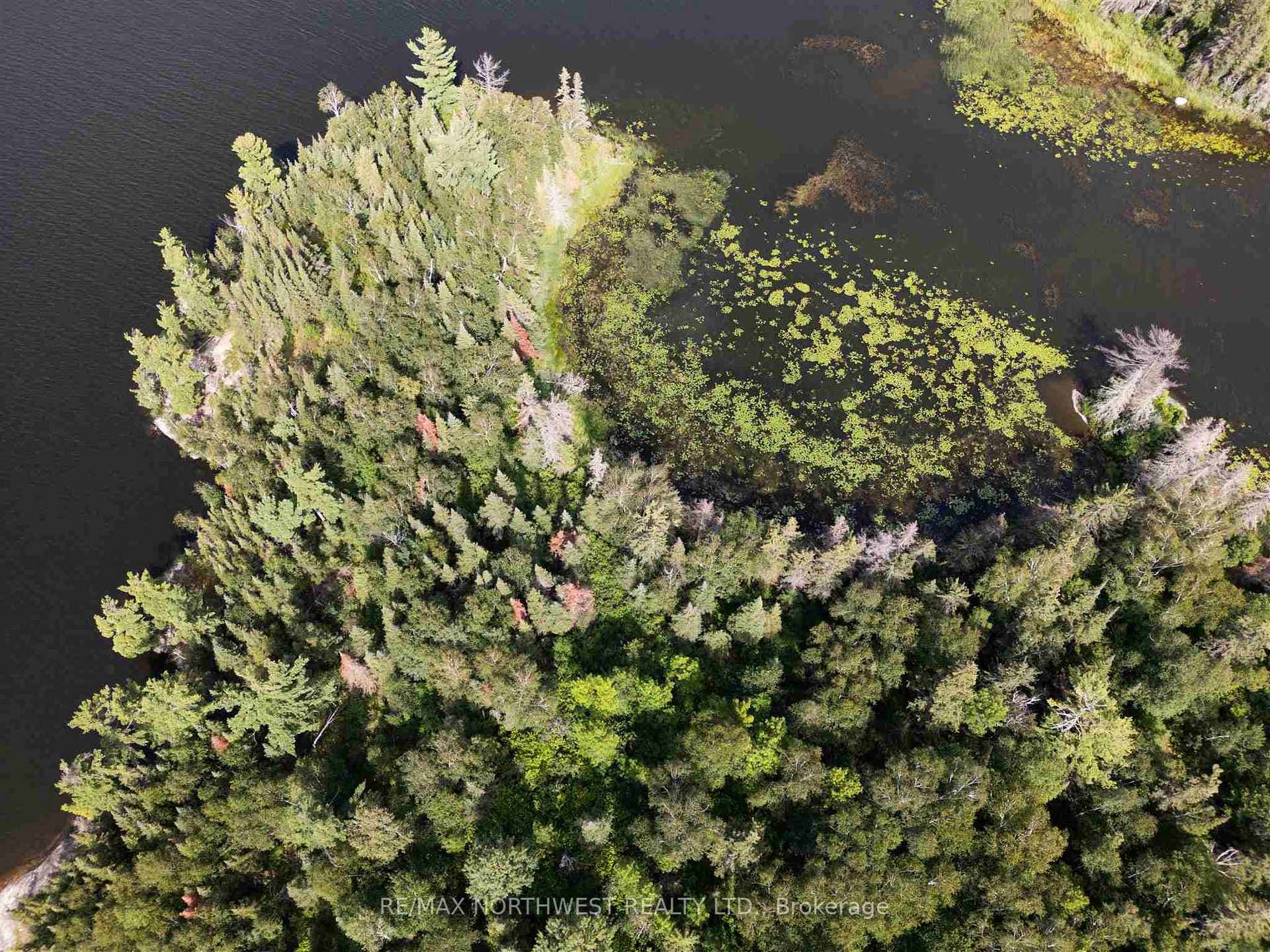 4 AND 11 DORION ISLAND LAKE OF THE WOODS photo 16