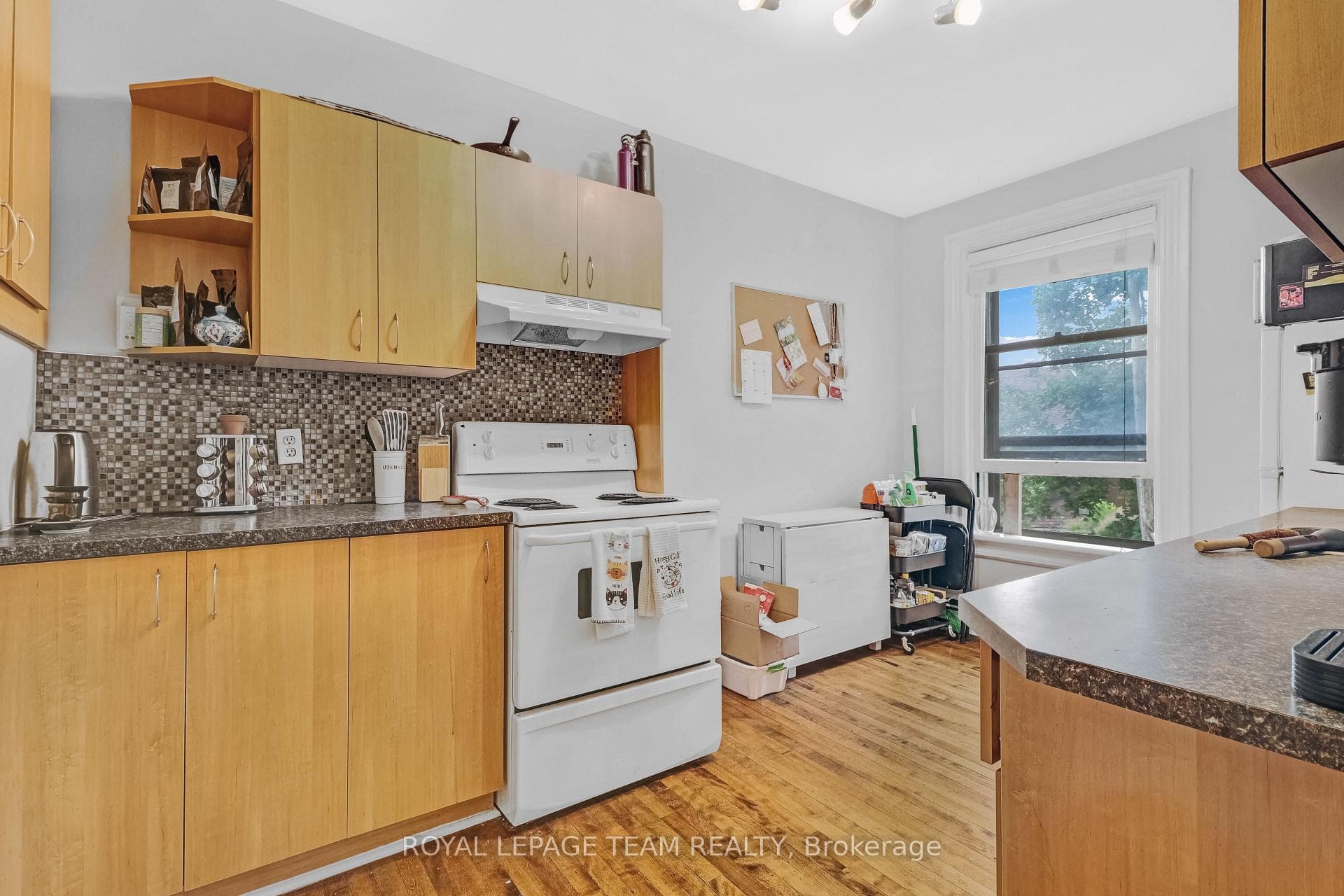 44 Mcleod Street photo 13