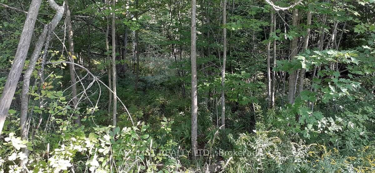 1060 Partridge Lane Unit Lot B photo 2