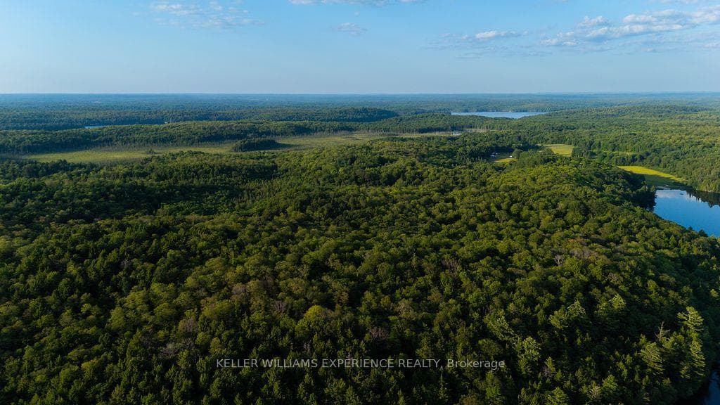 2101 Ahmic Lake Road photo 34