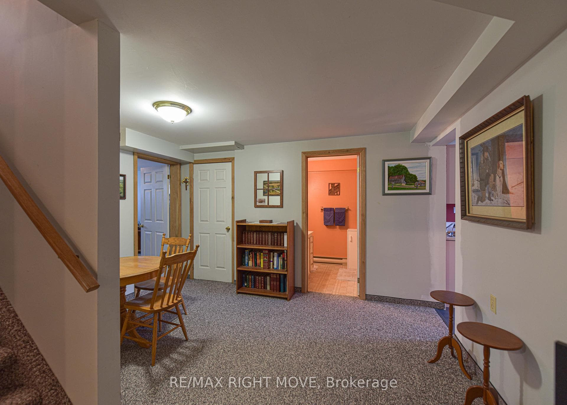 Lower level staircase
