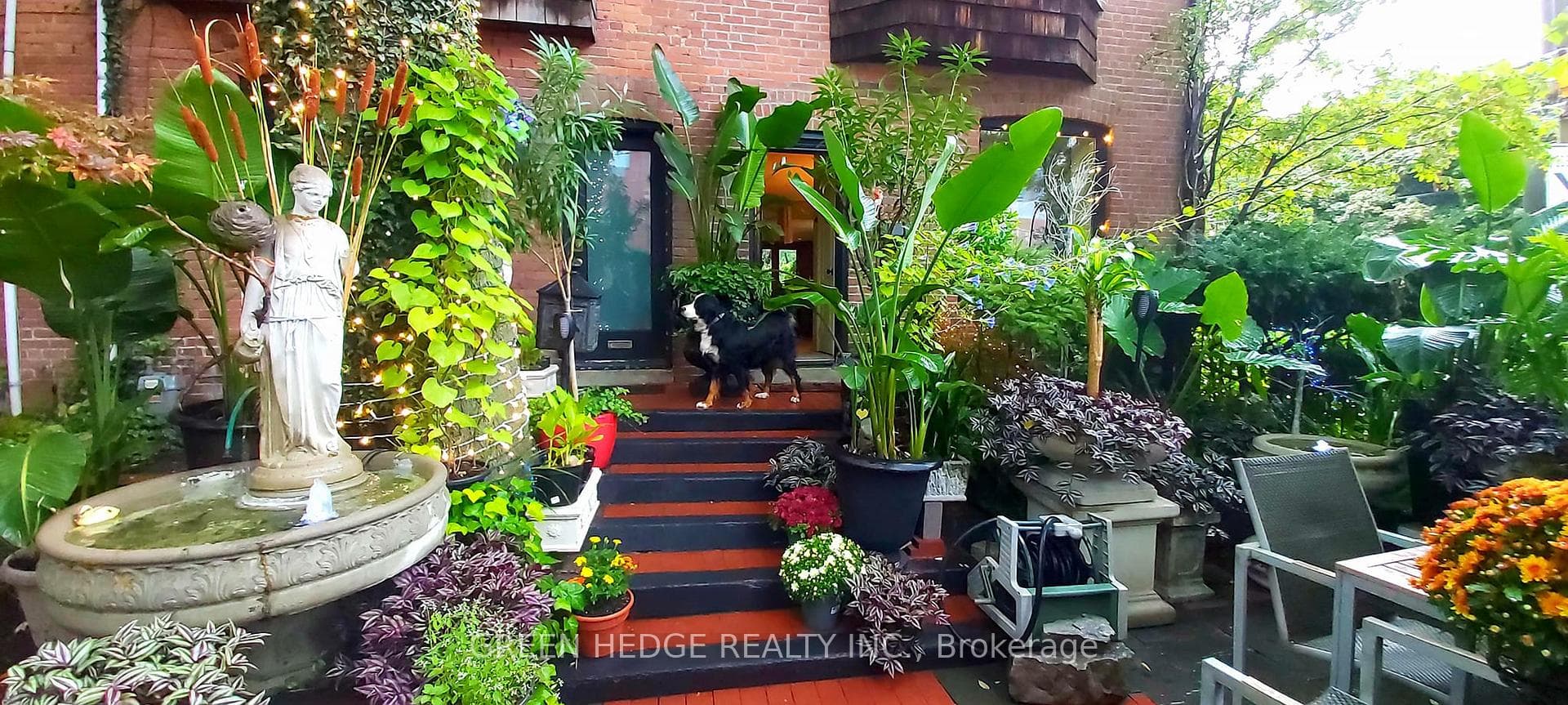 207 George Street photo 24