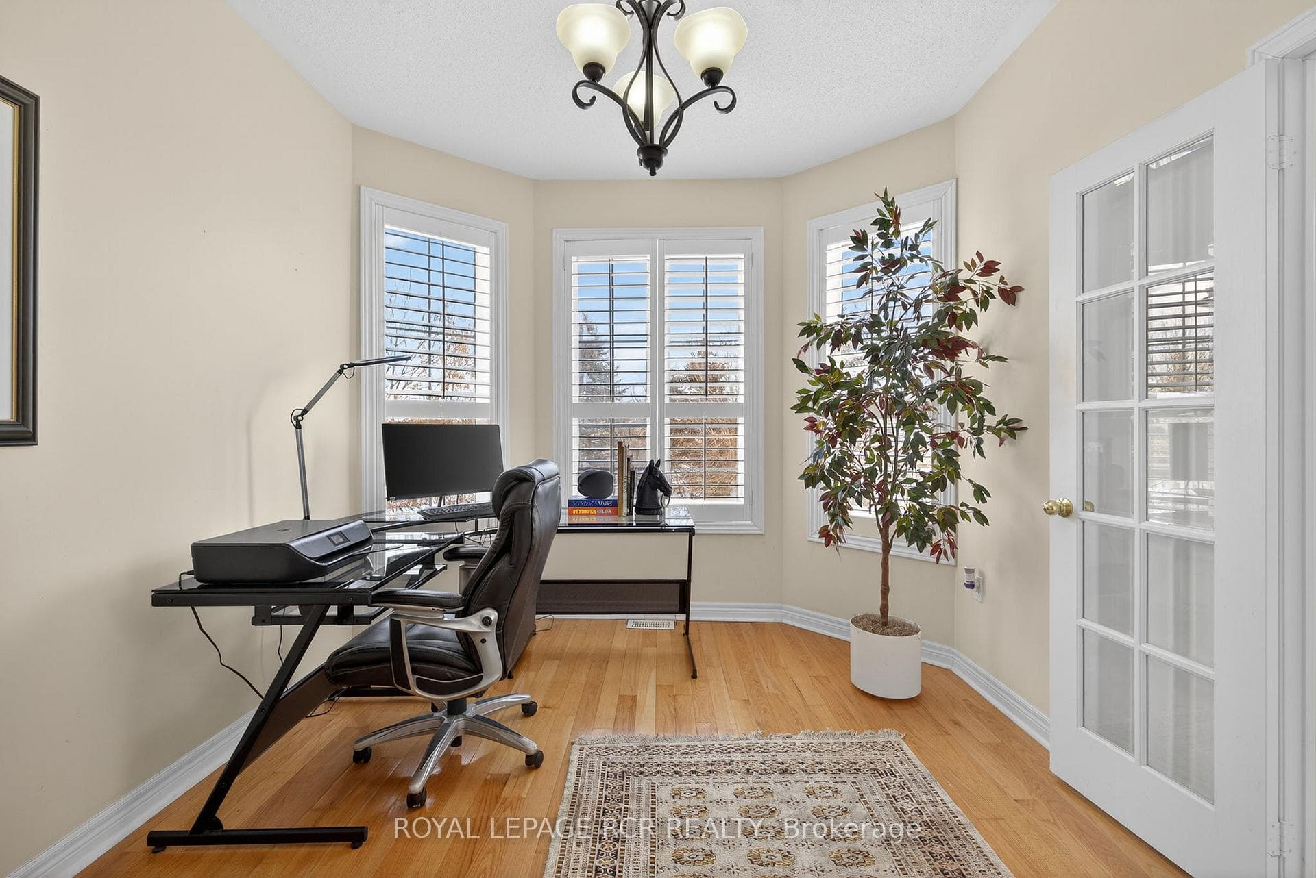 13 Willard Hunt Court photo 15