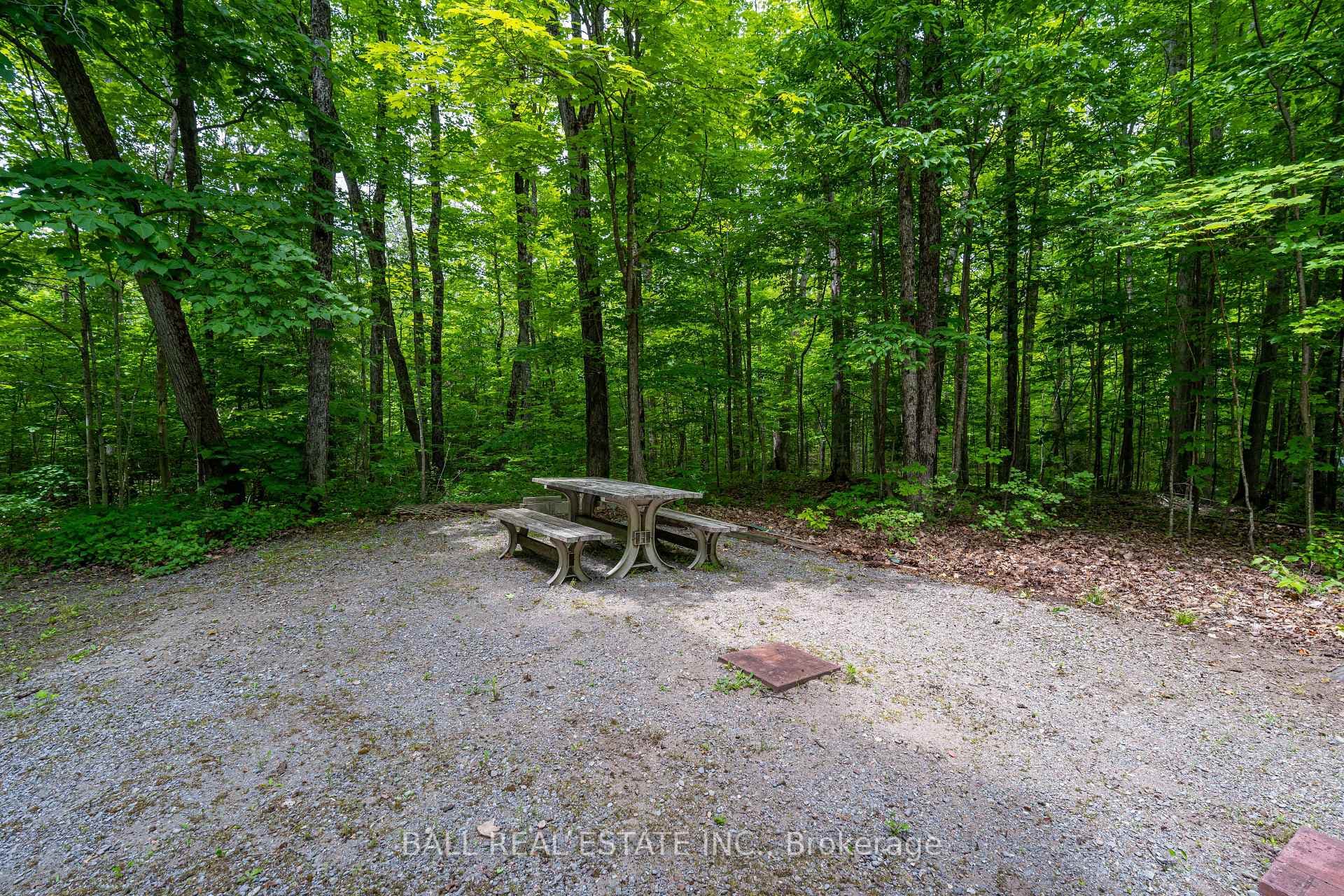 119 Mukwa Bay Estates N/A photo 21