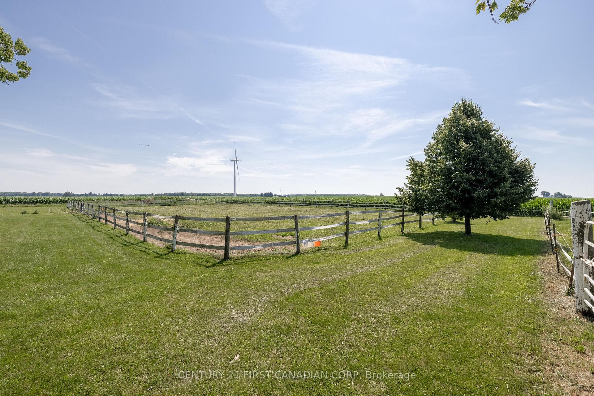 14004 Cleeves Line photo 9