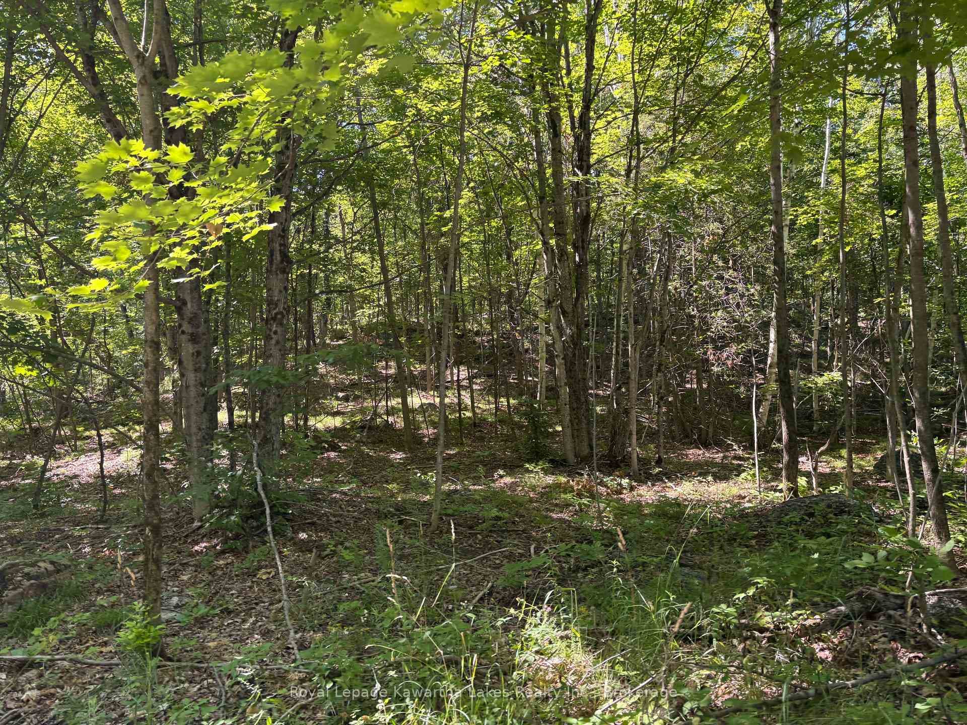 164 Sugar Bush Road photo 30