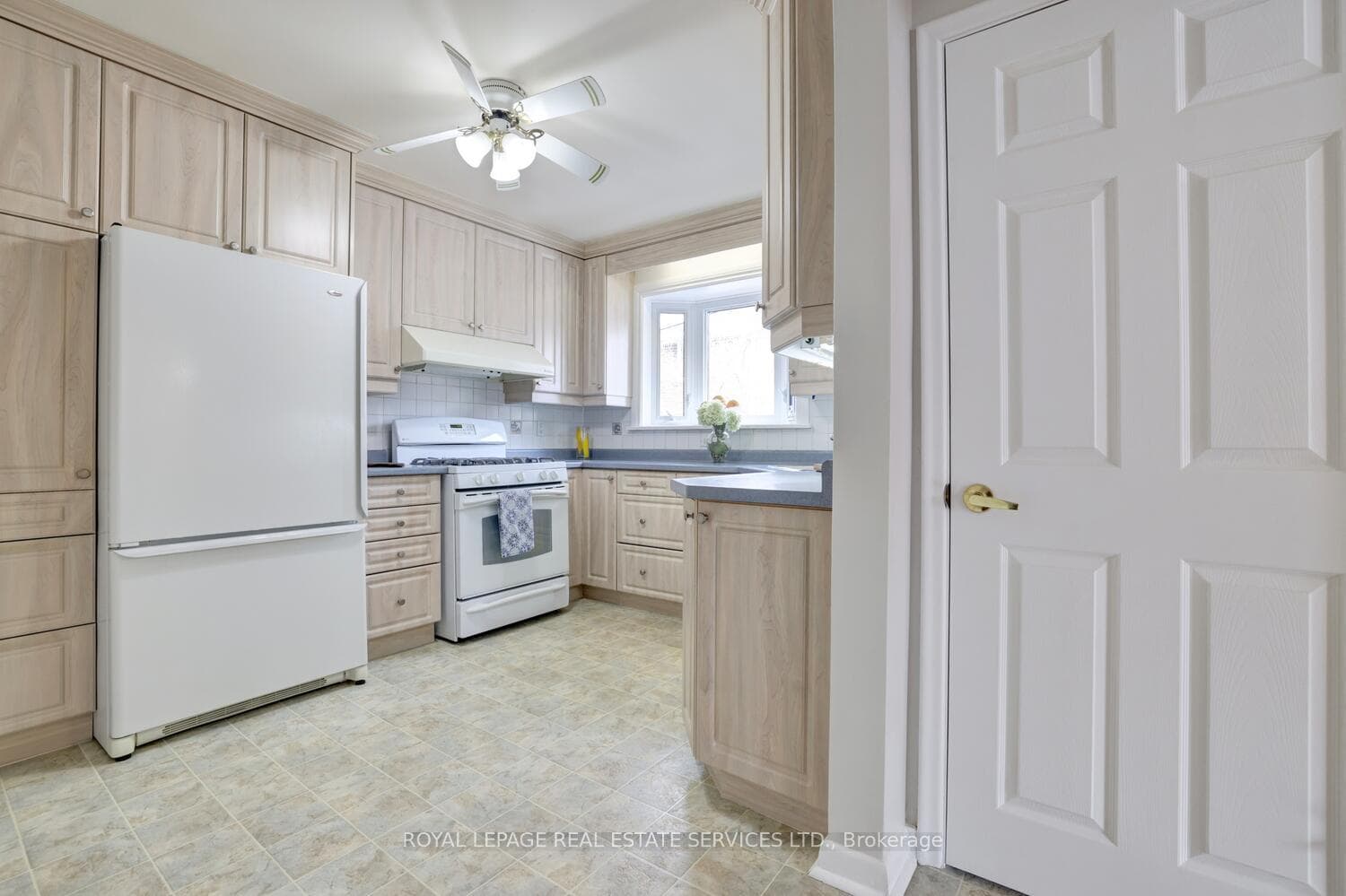 4 Duncairn Drive photo 10