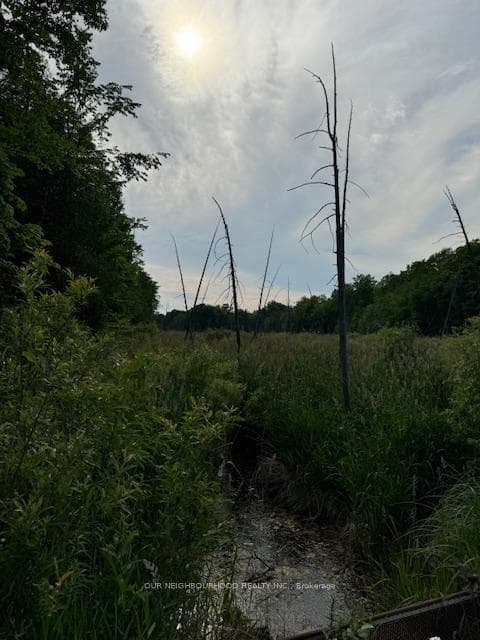0 Concession 7 N/A photo 7