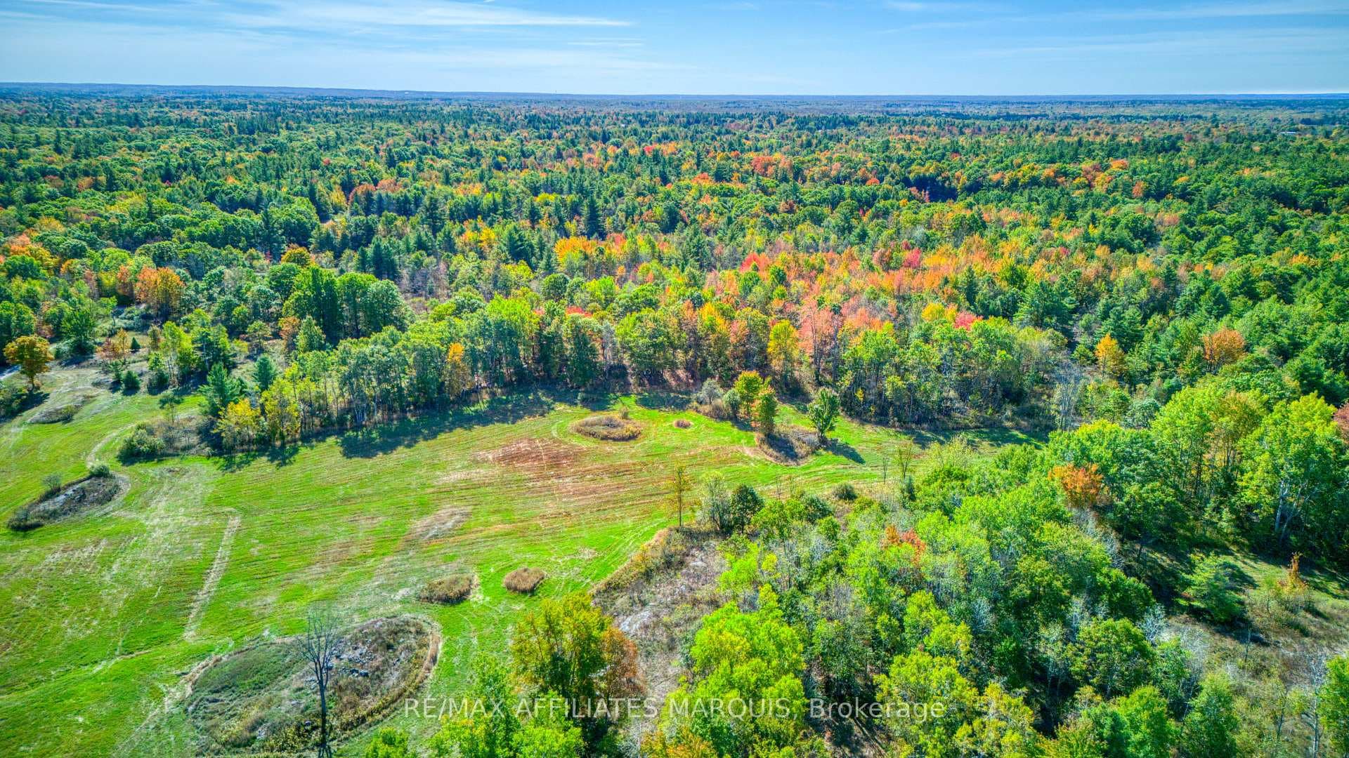 1390 STRUTHERS Road photo 24