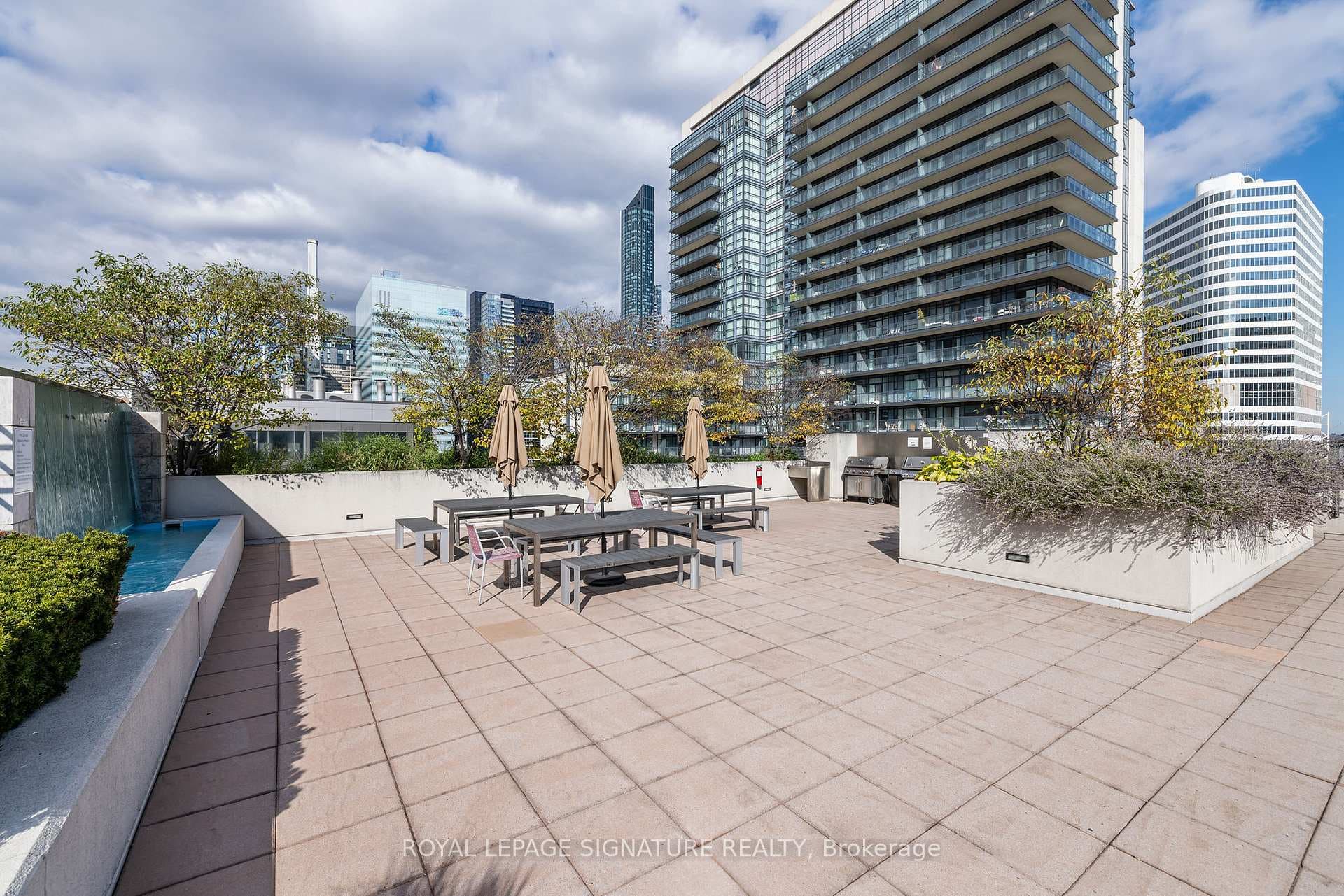 111 Elizabeth Street Unit 915 photo 16