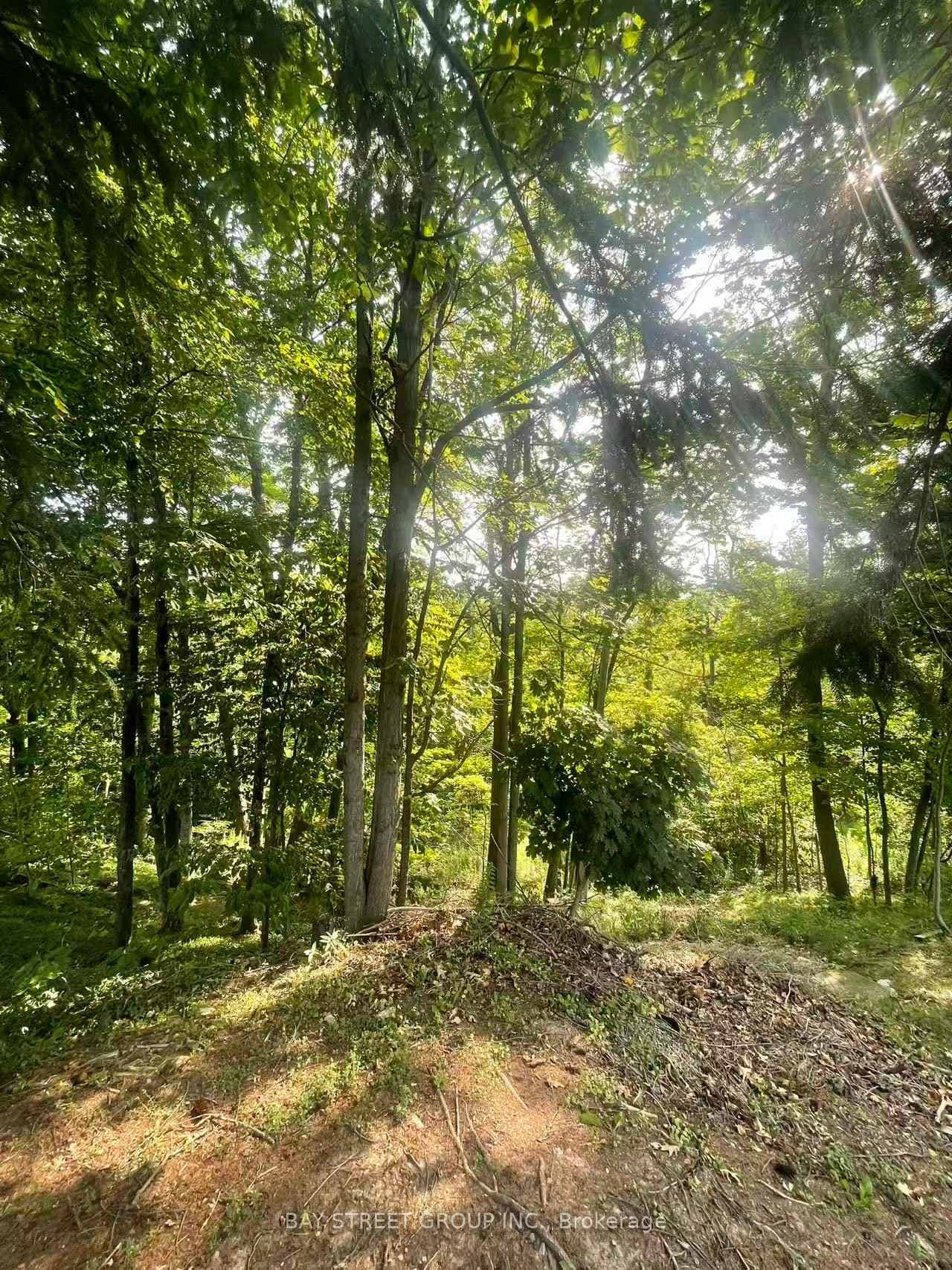 27 Glenbarr Road photo 11