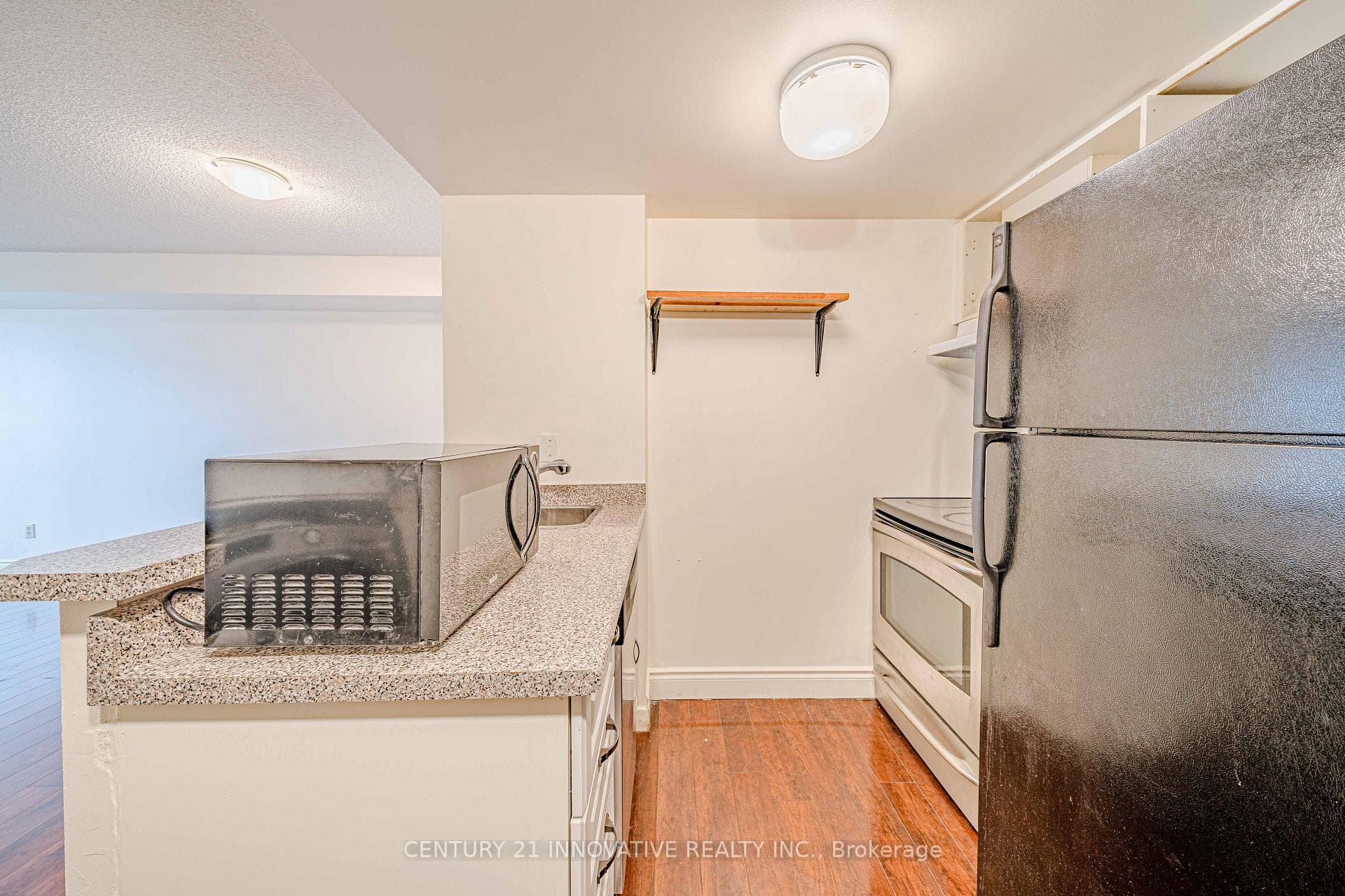 25 Grenville Street Unit 909 photo 7
