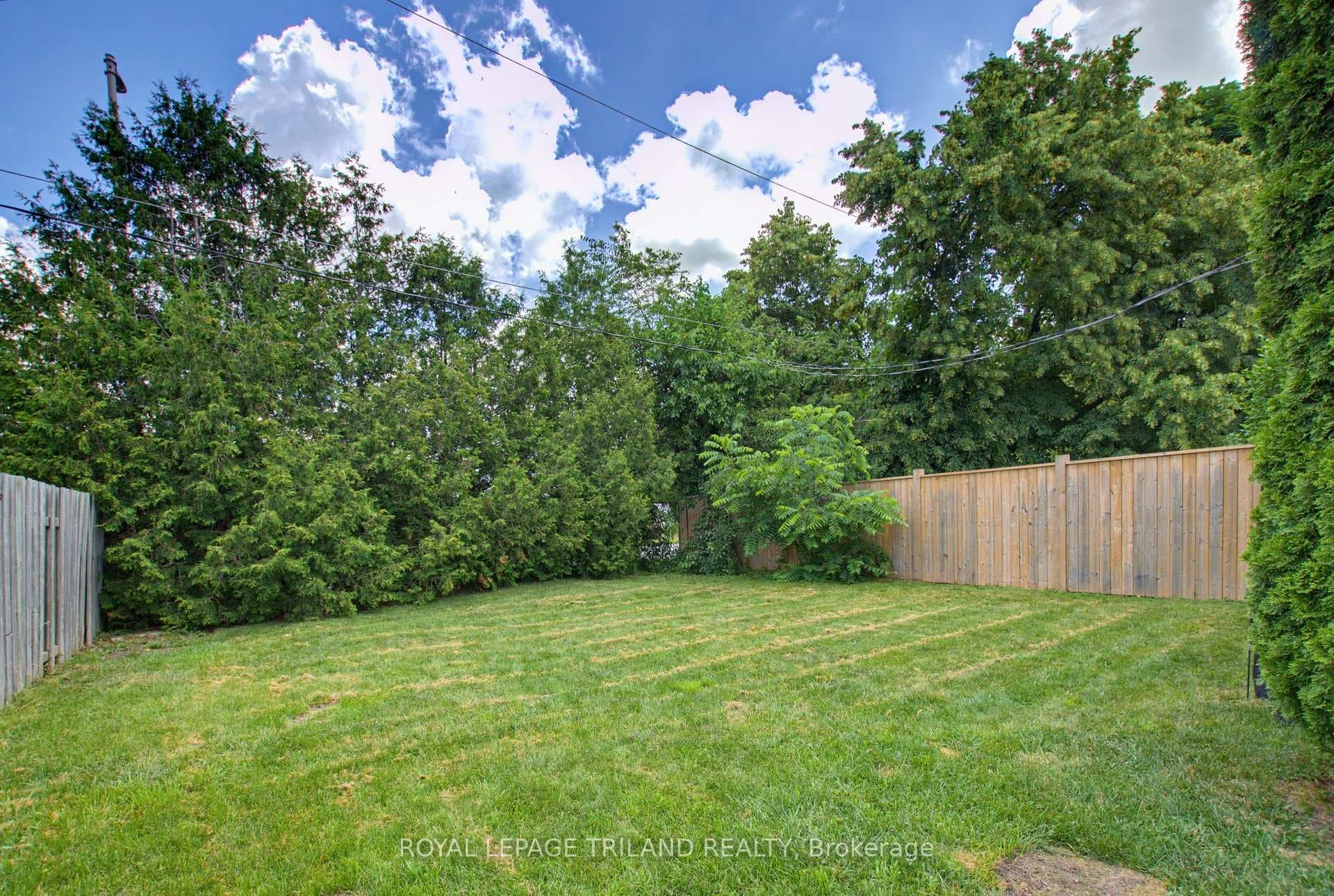 71 Joyce Street photo 32