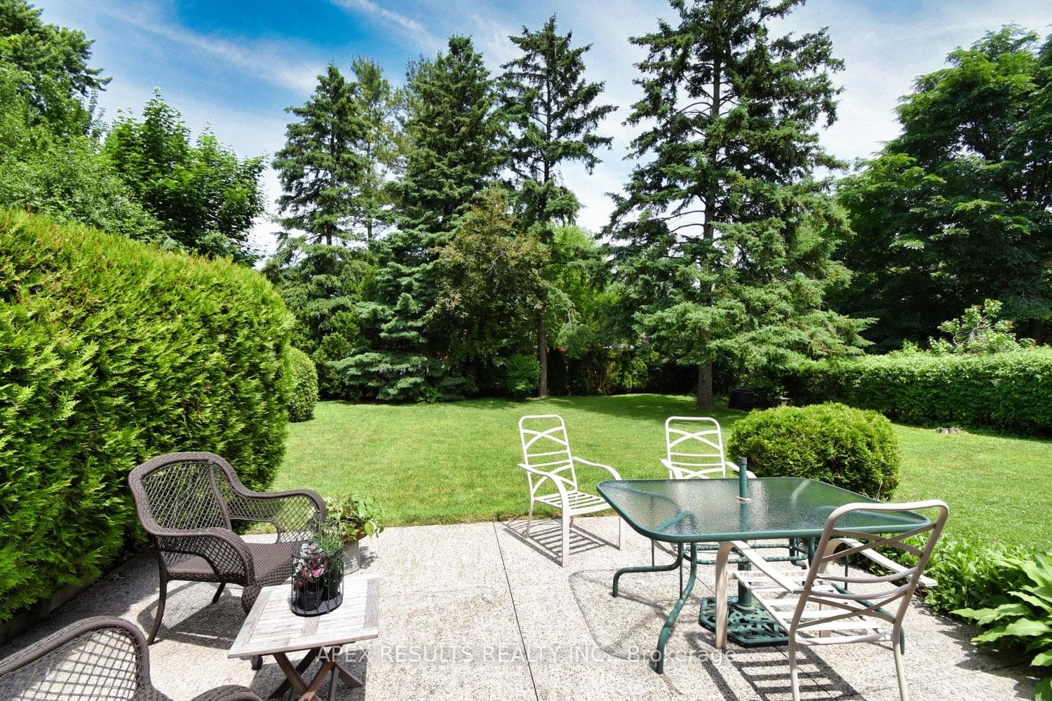BACK YARD AND PATIO