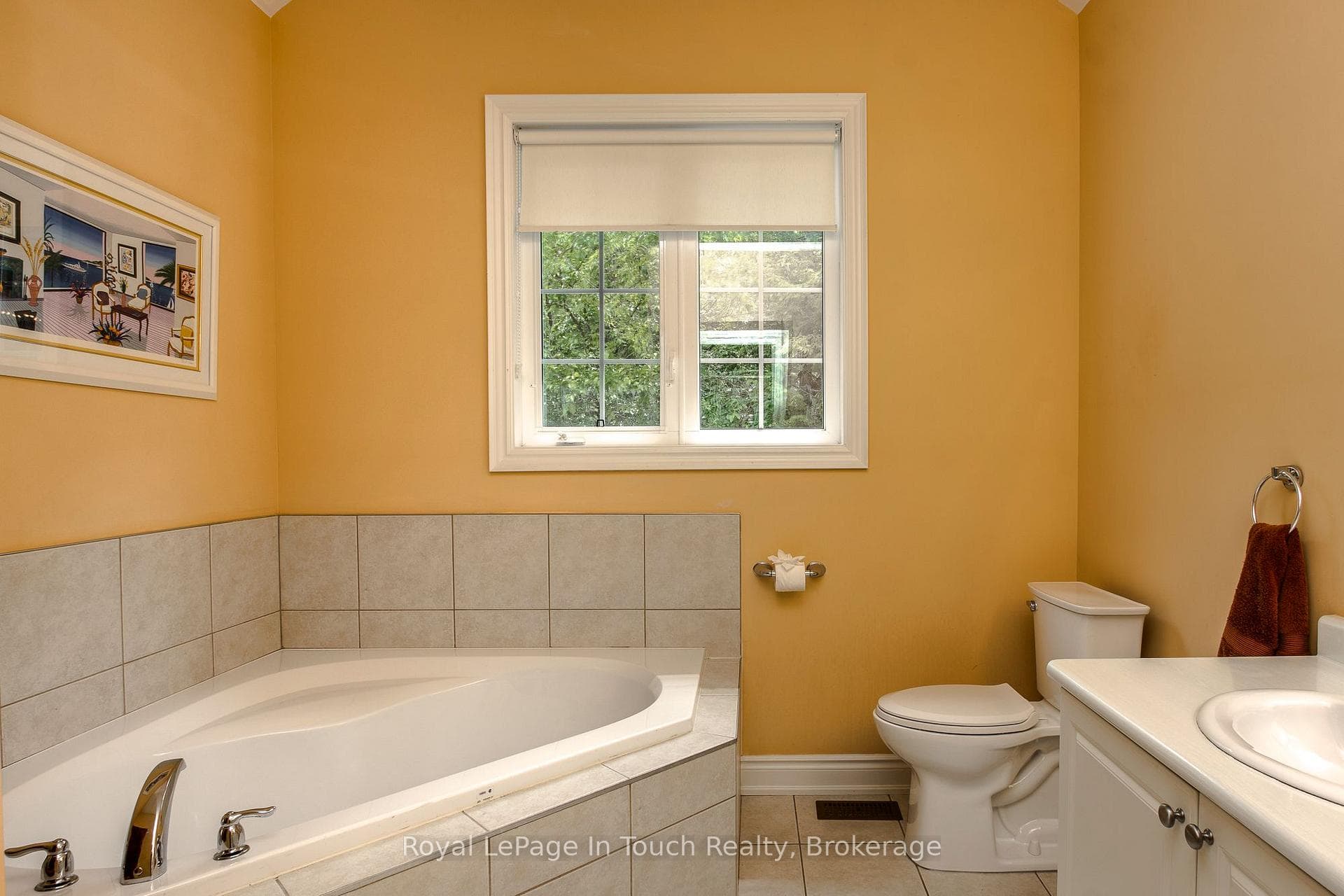 8 Woodward Drive photo 29