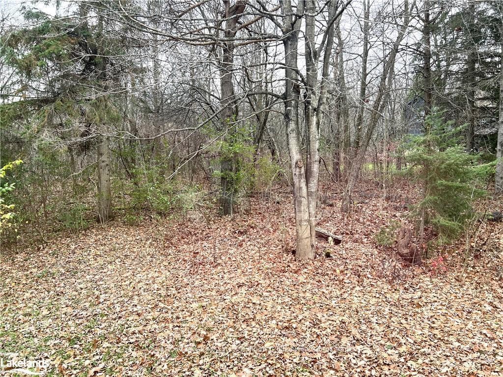 116 CASTLEVIEW Road photo 20
