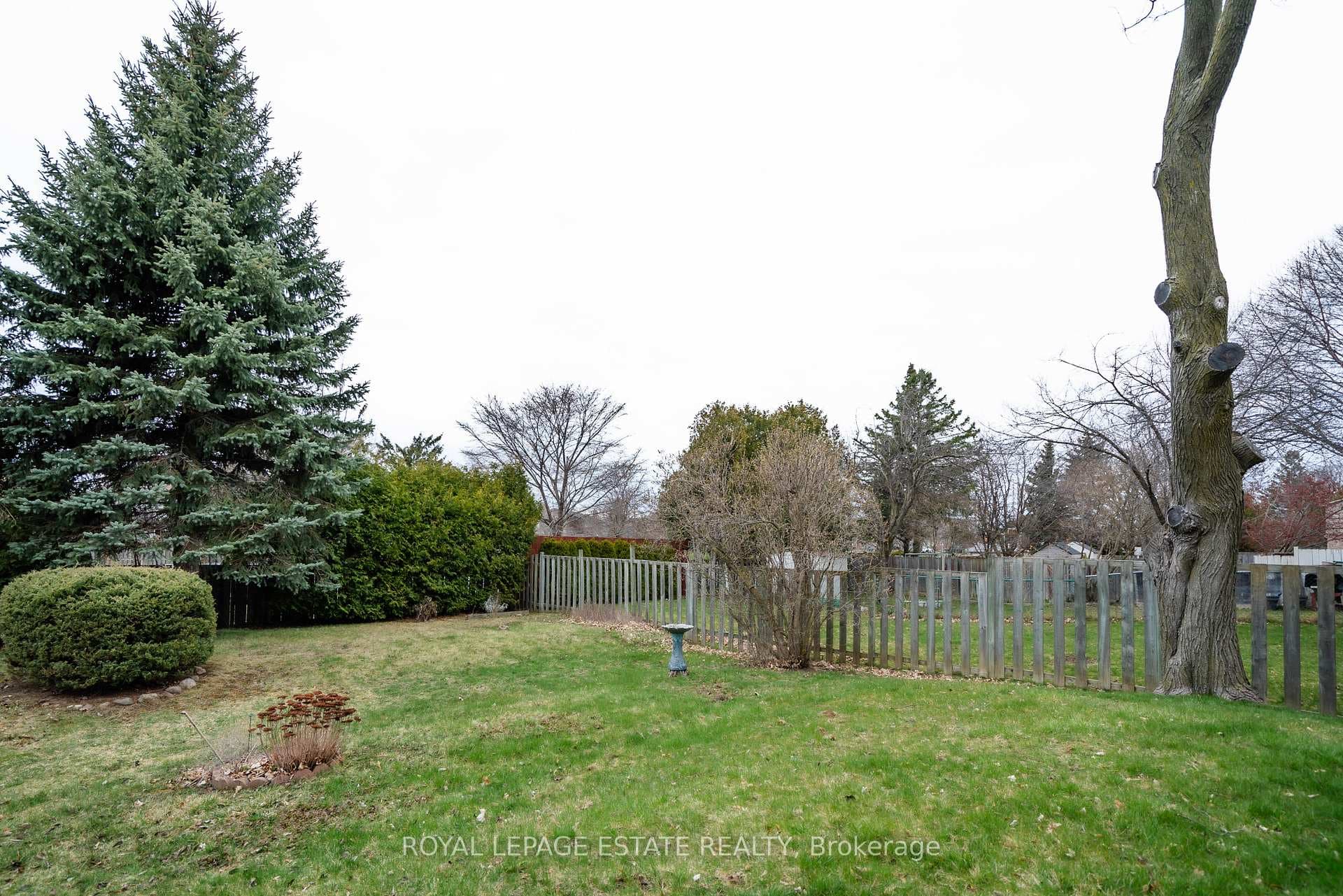 4 Lionhead Trail photo 31