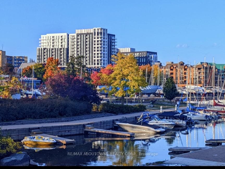 Enjoy your Lakeside Neighbourhood!