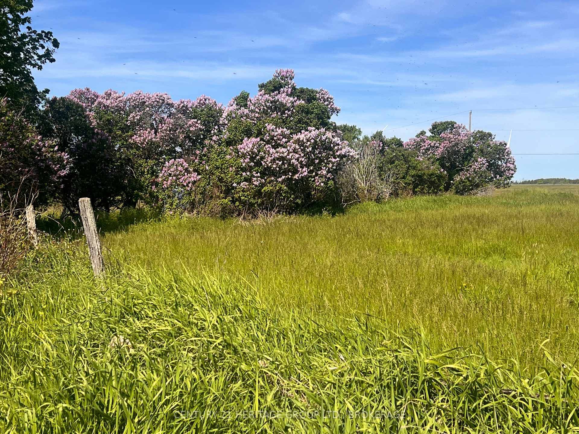 LOT 17 SOUTH SHORE Road photo 5