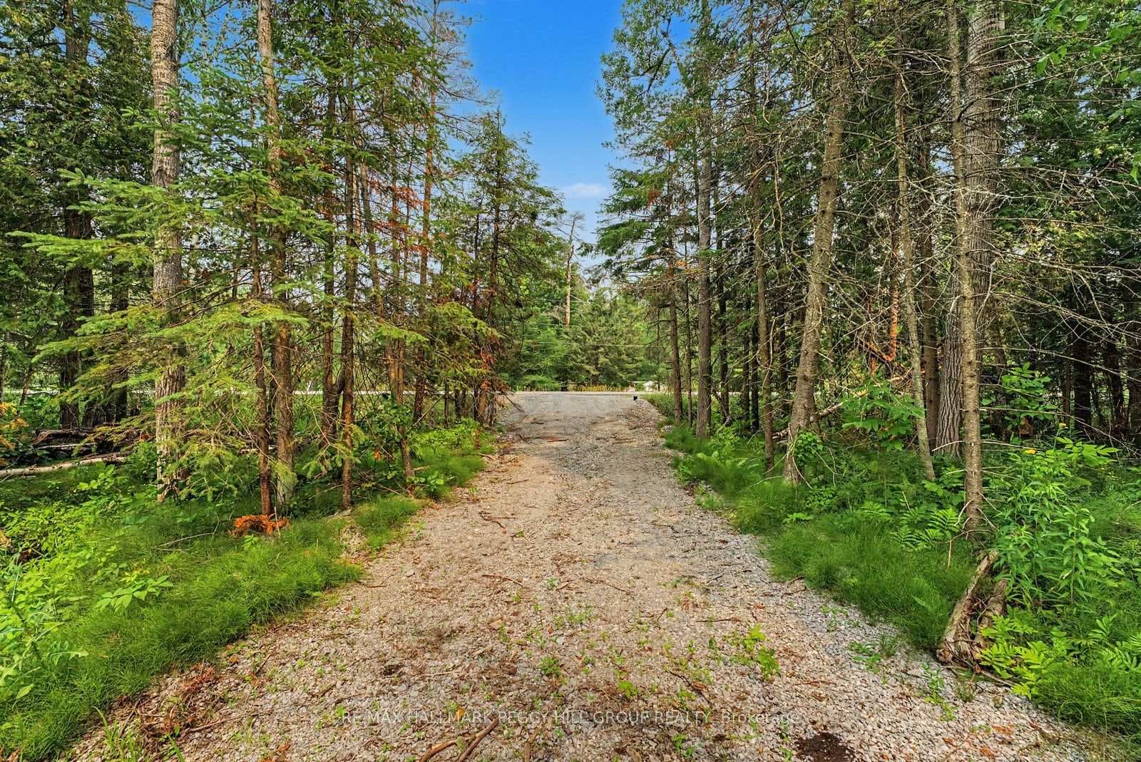 6905 County Road 21 N/A photo 6