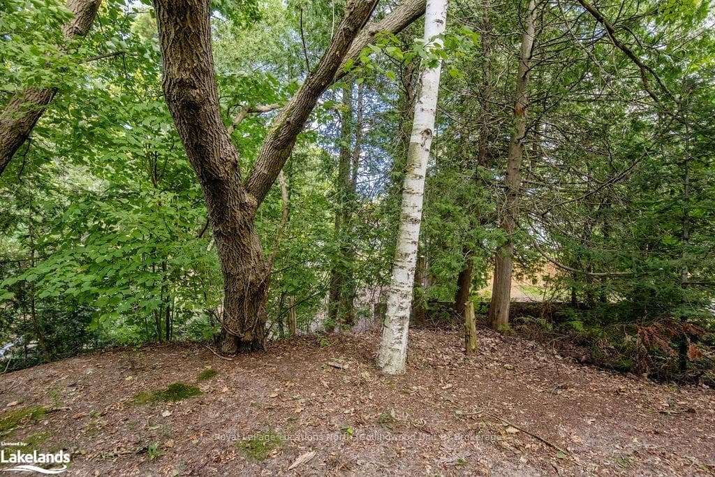 1221 RIVER Road photo 21
