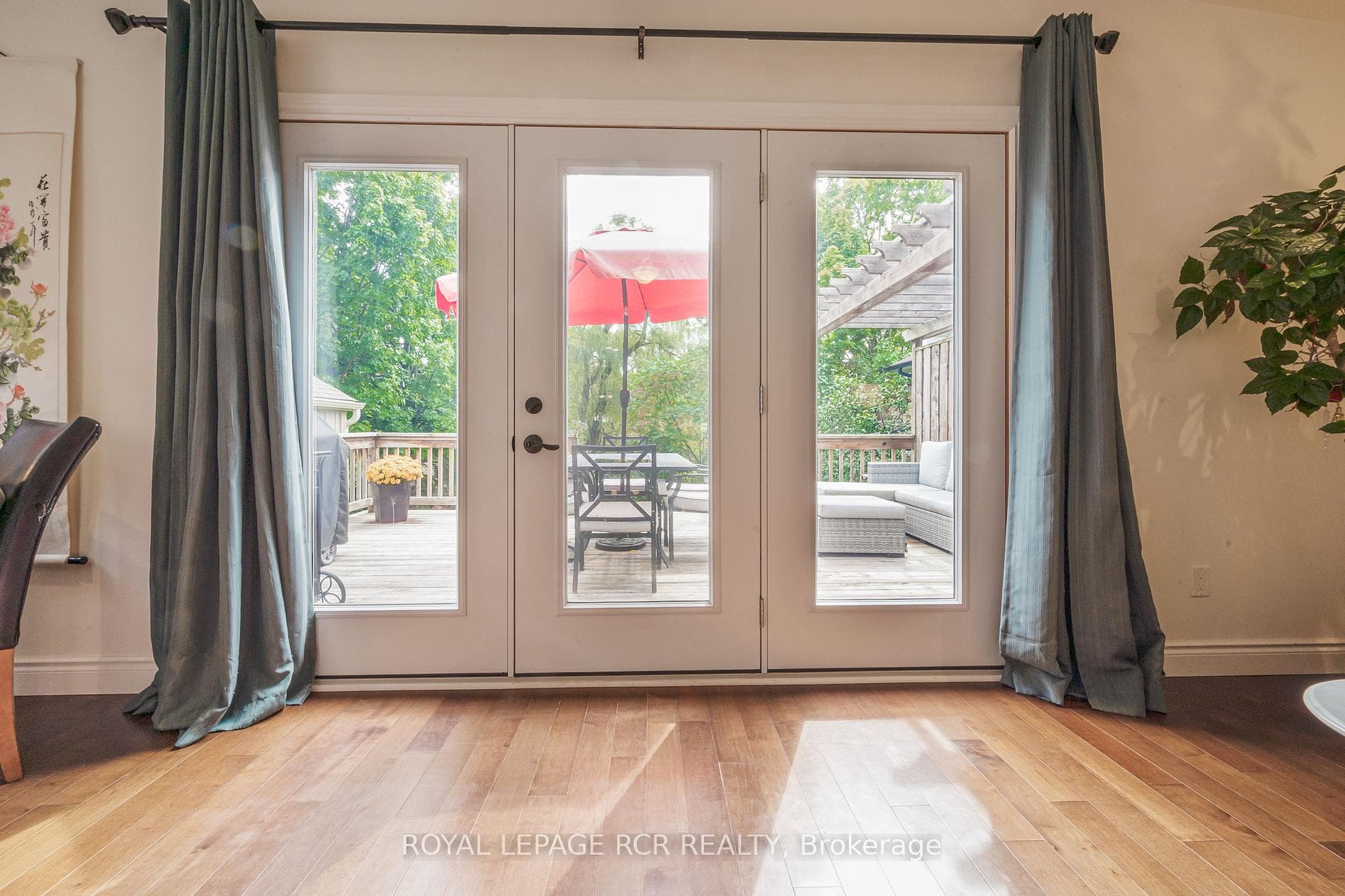 9 York Street photo 17