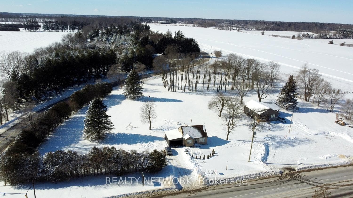 880 Norfolk Street photo 4
