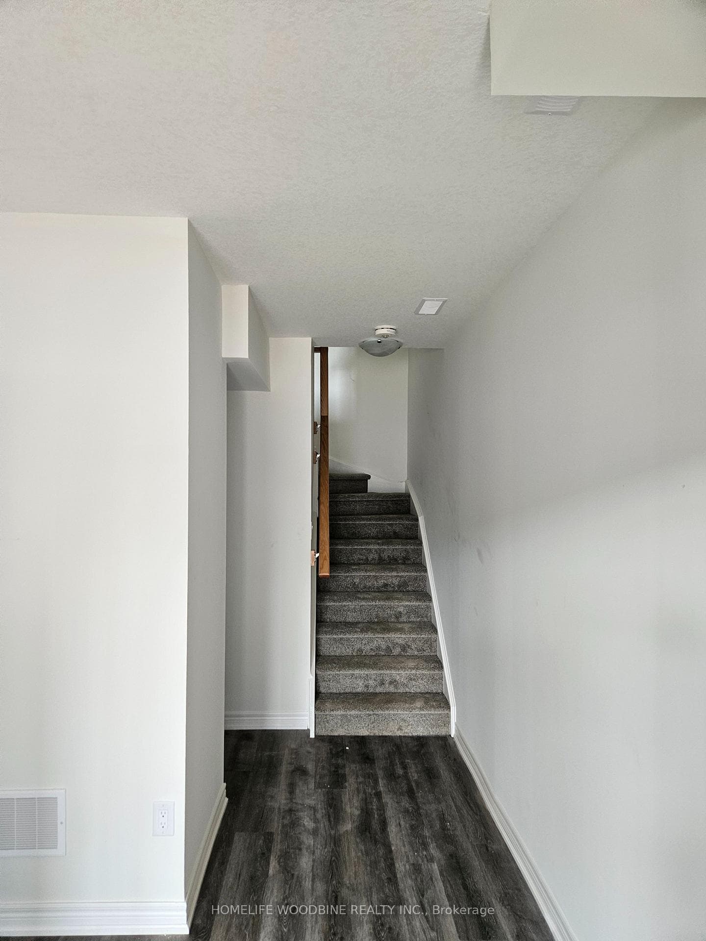 31 Roxanne Drive photo 3