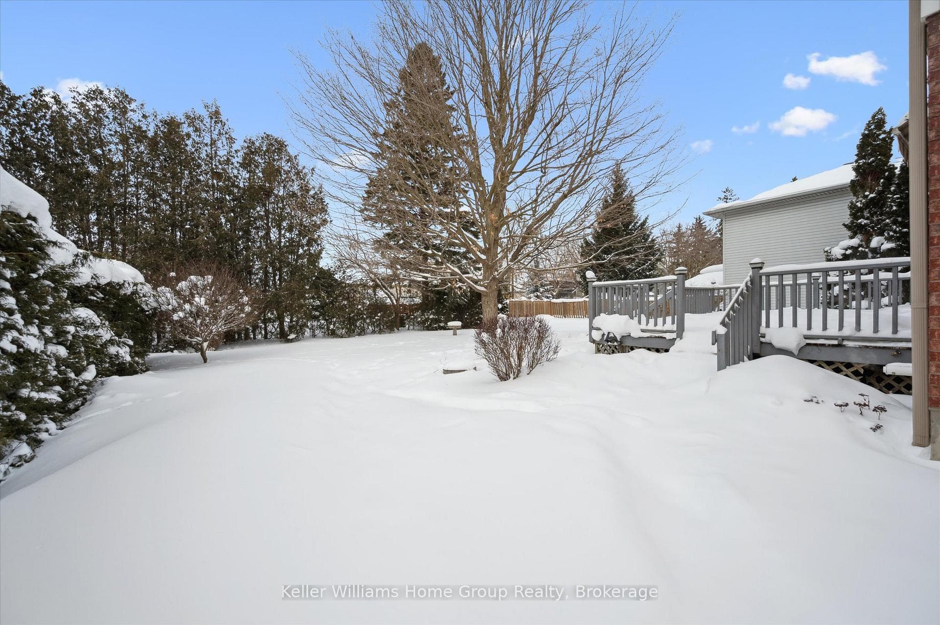 185 Forfar Street photo 37