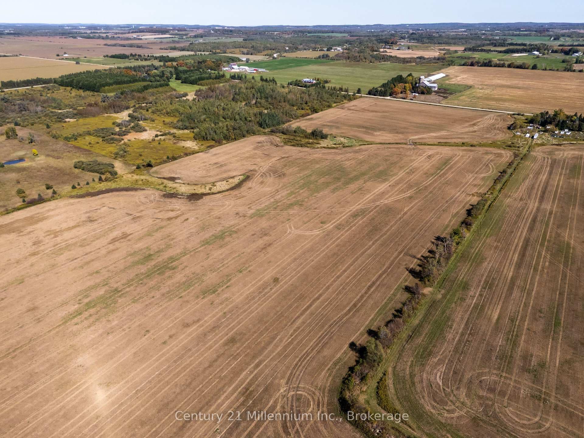 374518 6th Line photo 22