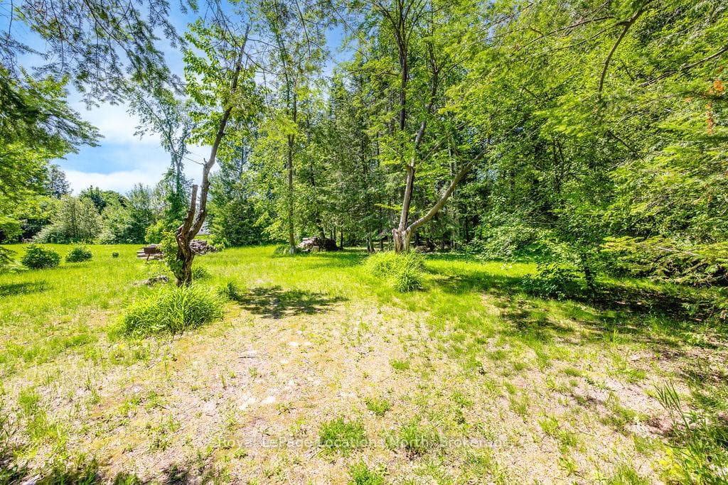 88 Smallman Drive photo 9