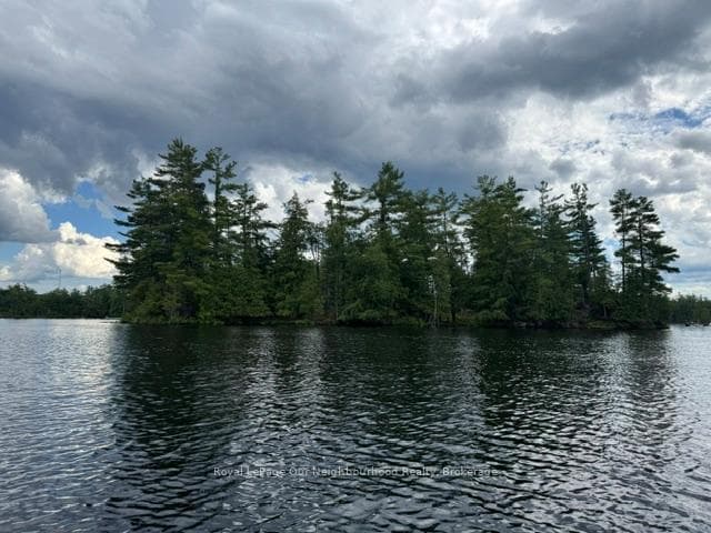 16 Is 12 Cordova Lk Island photo 3